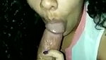 Beautiful girl sucking bf dick nicely