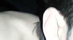 Boyfriend fucking his gf hard on bed