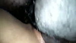 Husband drilling her housewife pussy