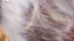 Sexy girl showing her wet pink pussy