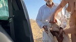 Hidden Lust Rajasthani buddhe ke sath Dare ka HD Version