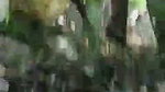 Randi ke sath Jungle Mein Mangal