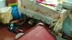 mechanic ke sath affair bhabhi ka washing machine theek karne ke Bahana mein jaldi jaldi maja lalea