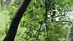 Randi ke sath Jungle Mein Mangal 2