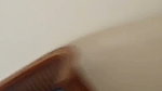 Vid 20231103 1345241