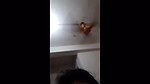 Boyfriend fingering her gf pussy