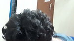 Boyfriend pussy licking  girlfriend enjoying