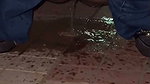 Sexy bhabhi give Blowjob pissing  enjoying outdoor