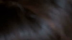 1000329289