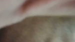VID 20200503 WA0025