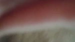 VID 20200503 WA0025