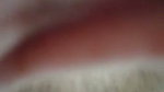 VID 20200503 WA0025