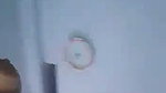 Tamil Couple Amateur sex video 4