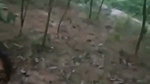 village girl pusssy destroying by boyfriend in jungle
