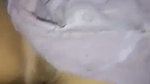 Cute girl Fucked