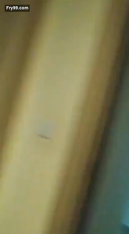 Frame 10