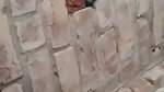 1000075875