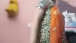 Bengali boudi record nude video for her lover