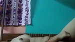 Horny girlfriend show her hornynes to her bf