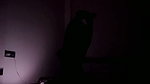 Tango Mampi roy Live  nude show desi boobs