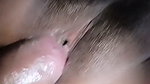Recording 2026 09 06 060837