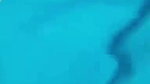 Desi Chamet  Tango Camshow video 38