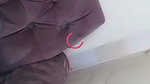 Desi Chamet  Tango Camshow video 6