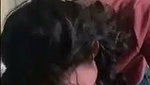 Beautiful girl suck dick like a pro