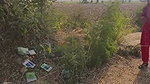 Village bhabhi suck boob show pussy  give Blowjob to ex lover