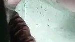 1000016277