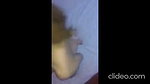 sexy slim girl getting fucking hard and blowing up dick