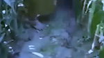 Bhabhi fucking hard with lover in field