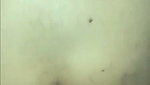 Anjali fucking in her ass