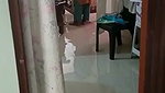 Beautiful bhabhi undress  give Blowjob