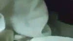 Beautiful girl fucking  singing song