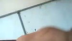 Husband enjoying with her wife