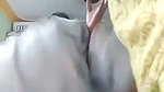 New update Telugu aunty undress  showing