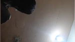 Punjabi Cpl Doggy Sex