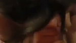 Indian Horny Girl Sucking Boyfriend Dick
