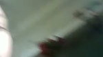 Village wife showing boobs and pussy on video call