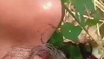 Beautiful Tamil girlfriend fucking with bf outdoor