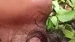 Beautiful Tamil girlfriend fucking with bf outdoor