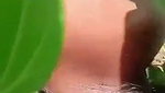 Beautiful Tamil girlfriend fucking with bf outdoor