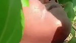 Beautiful Tamil girlfriend fucking with bf outdoor