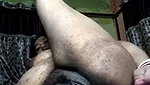 Sexy aunty drilling in her ass  pussy with pink dilo