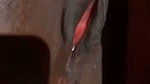 mallu lovers nude