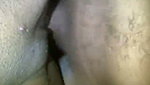 Desi couple pron style video