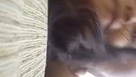 Girlfriend  Boyfriend Amateur sex video 27