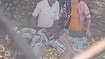 Desi Bhabhi Thela Wala ko Seb badlemei Handjob de dia