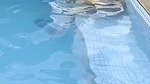 Hot bhabhi fucking hard with lover in swimming pool